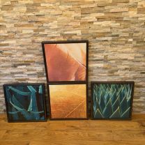 Black Framed Canvasses Portraying Foliage - Sets